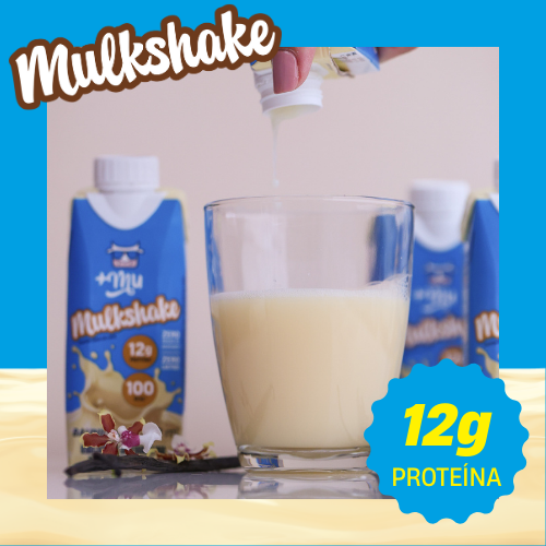Combo Mulkshake - Baunilha - Pack 12 Garrafinhas (250ml)