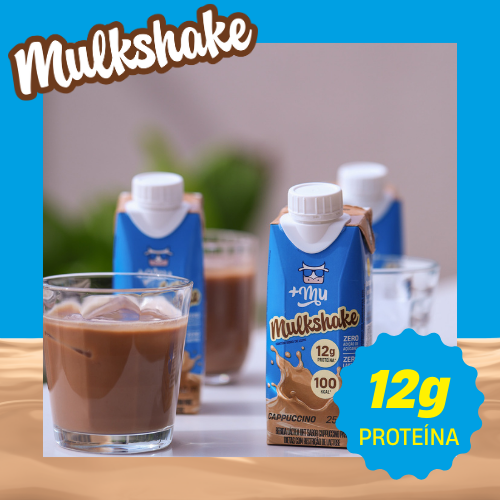 Combo Mulkshake - Cappuccino - Pack 12 Garrafinhas (250ml)