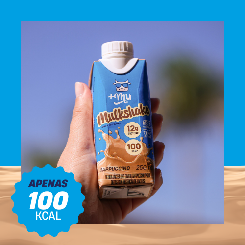 Combo Mulkshake - Cappuccino - Pack 12 Garrafinhas (250ml)