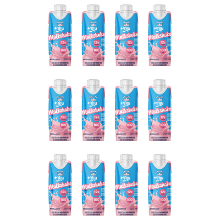 Combo Mulkshake - Morango - Pack 12 Garrafinhas (250ml)